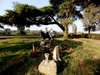 The Manor at Ngorongoro - horse riding in gardens