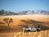 Wolwedans Dunes Lodge - nature drive