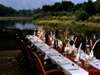 Chongwe River Camp - dinner on riverbank