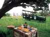 Makakatana Bay Lodge - game drive