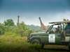 Makakatana Bay Lodge - giraffe