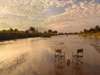 Mwaleshi Bush Camp - sundowners in the river