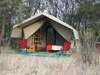 Serengeti Tented Camp - private tent