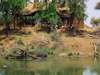 Makanyane Safari Lodge - hippo in the water