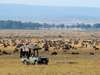 Mara Plains - game drive