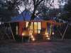 Ngala Tented Safari Camp - Camp 