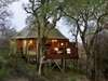 Hamiltons Tented Camp - Accommodation 