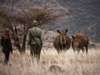 Lewa Safari Camp - Bush Walk 