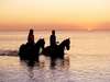 Indigo Bay Island Resort and Spa - Spend a romantic evening on a sunset horseride.