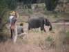 Cottars 1920's Safari Camp - Walking Safari