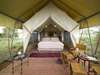 Serengeti Under Canvas - Bedroom 