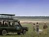 Serengeti Under Canvas - Game Drive