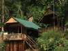 Buhoma Lodge - Cottage 