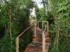 Buhoma Lodge - Walks  