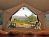Kilima Camp - Tent 