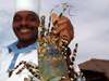 Medjumbe Private Island - crayfish for dinner
