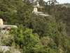 Tsala Treetop Lodge - Setting 