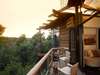 Tsala Treetop Lodge - Private Deck 