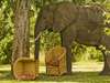 Kasaka River Lodge - Wildlife 