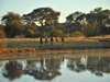 The Hide - walking safari in Hwange