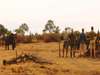 Kanga Bush Camp - Activities