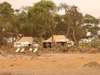 Somalisa Camp - Camp 