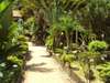 La Digue Island Lodge - Beach Access 