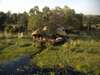 Baines' Camp - Camp