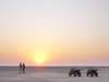 Camp Kalahari - Quad Biking