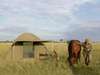Camp Kalahari - Horse Riding2