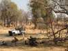 Camp Moremi - game drive