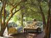 Ngala Safari Lodge - high tea