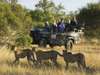 Classic Kruger and Phinda Safari