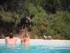 Jongomero - elephant next to pool
