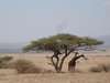Classic Tanzania & Zanzibar Safari