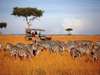 Saruni Mara - endless savannah on a game drive