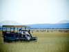 Lake Manyara Tree Lodge - Private Deck 