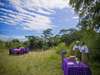 Grumeti Serengeti Tented Camp - safari
