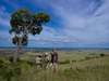 Klein's Camp - game drive