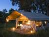 Epic Botswana Safari