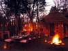 Chobe Under Canvas - staff laying table