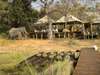 Xaranna Tented Camp - Wildlife 