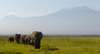 Classic Kenya Adventure Safari