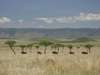 Remote Safari & Beach Respite