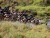 East African Adventure