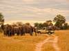 Zambezi River Odyssey