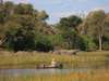 Selinda Canoe Trail Exploration
