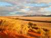 Namibian Treasures Fly-In Safari