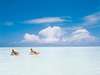 Zanzibar Family Beach Holiday