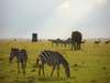Decadent Kenya & Seychelles Delight 